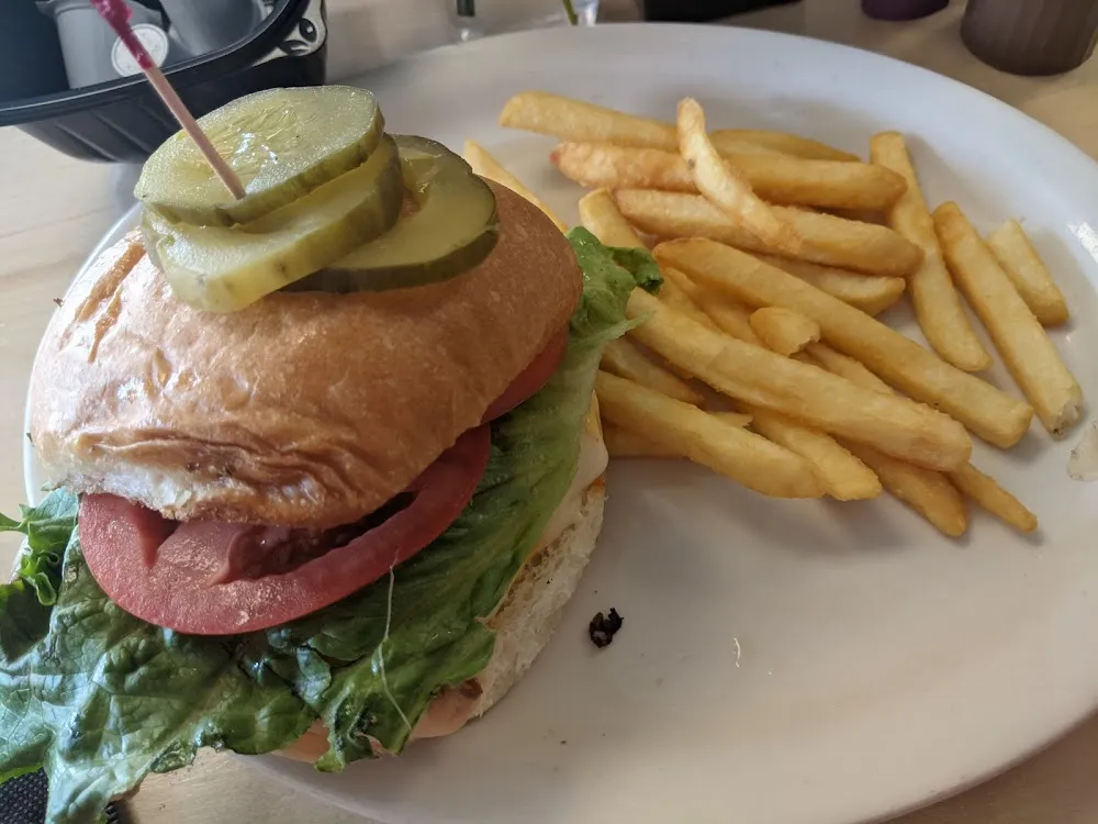 Chicken Sandwich and Fries